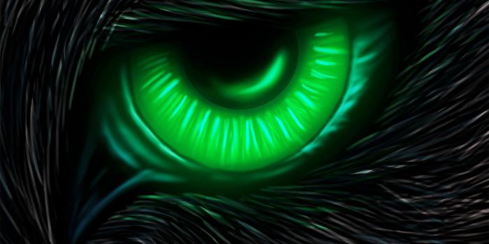 1920x1532 Neon Wolf Wallpaper (54+ images)