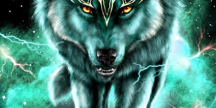 720x1280 Wolf king. Wiser and stronger than ever. #wolf #art #neon | Cool