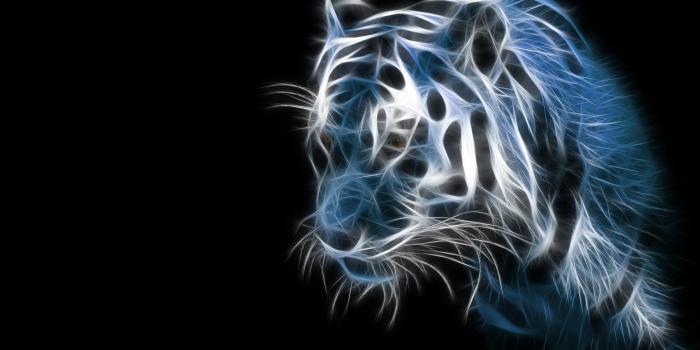 1920x1080 Neon Wolf Wallpaper Group (64+), HD Wallpapers