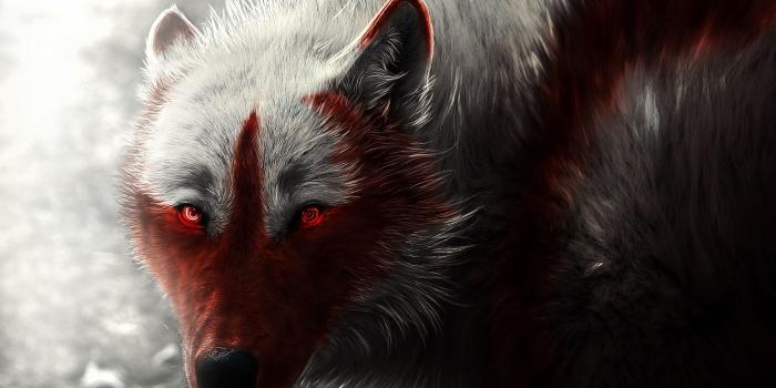 3000x1875 40+ Neon Red Wolf Wallpapers - Download at WallpaperBro