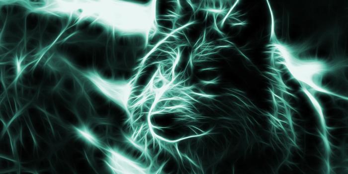 1920x1080 Download Wallpapers Neon Wolf | wallpaper kaca