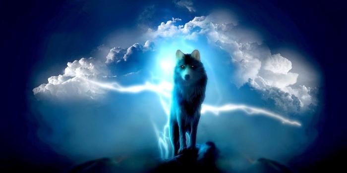 1920x1080 Wolf Wallpapers (79+ background pictures)