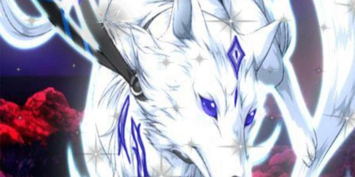 1080x1920 Neon Wolf live wallpaper & Lock screen pour Android - Téléchargez l'APK