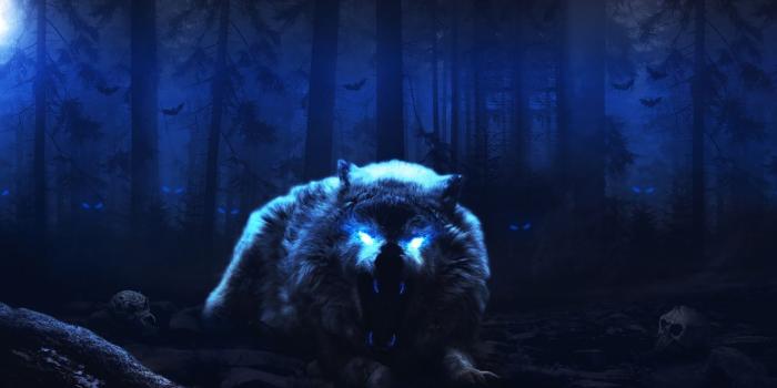 1280x720 Wallpaper Wolf, Forest, Nightmare, HD, 5K, Animals, #16854