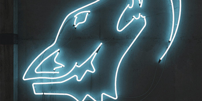 750x1107 Wolf neon #GIF | Neon colors and lights in 2019 | Neon, Neon signs