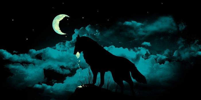1280x1024 Neon Wolf Wallpapers