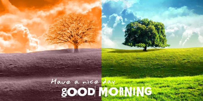 1024x768 221+ Good Day Wishes Images For Friends Girlfriend Boyfriend Download
