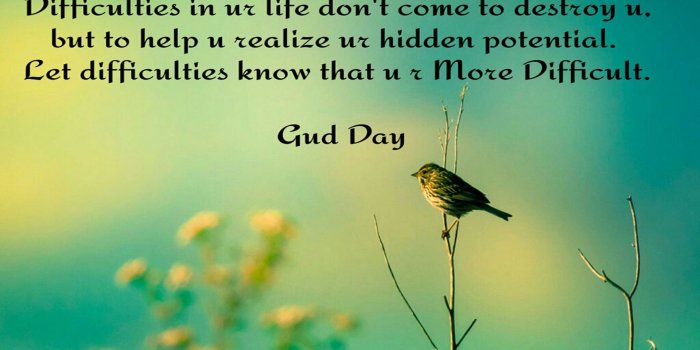 1920x1200 Good Morning Have A Good Day Message Wallpapers - Good Morning