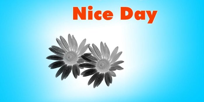 1024x768 best wishes for lovely day wishes hd wallpaper best wishes for
