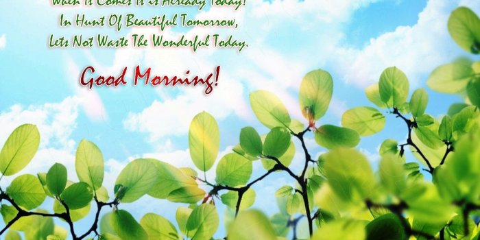 1600x1200 Beautiful Good Morning Wish Quotes for Have Good Day Wallpapers | HD