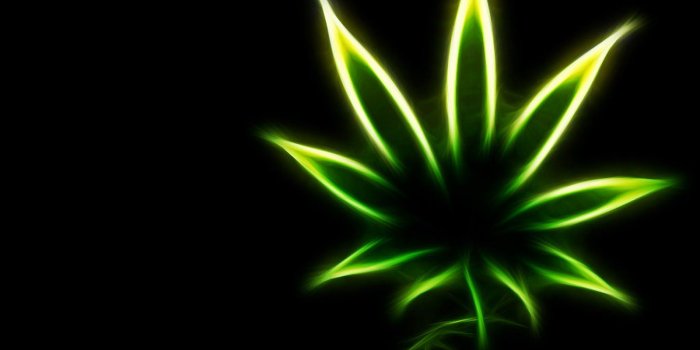 1600x1200 46+] Dope Weed Wallpapers on WallpaperSafari