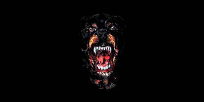 1366x768 50+] Dope Phone Wallpapers on WallpaperSafari