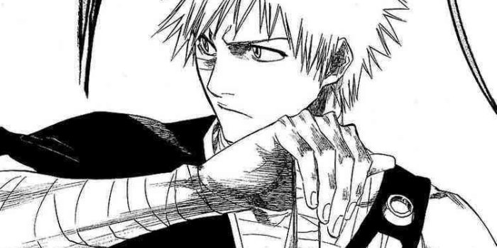 750x1103 Black and White Covers - Bleach Manga & TV Photo (13496349) - Fanpop