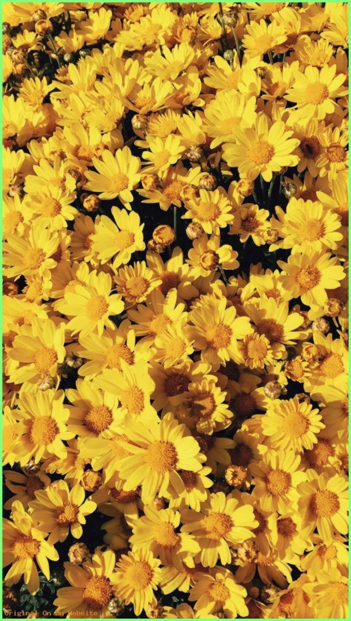 720x1273 Iphone Wallpaper Aesthetic - yellow aesthetic | Tumblr - Iphone