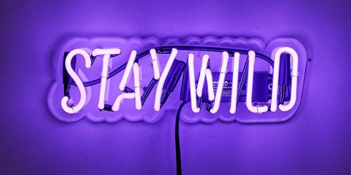 975x1463 Neon Mfg. Stay Wild Neon Sign | dorm !! | Neon signs, Neon, Purple
