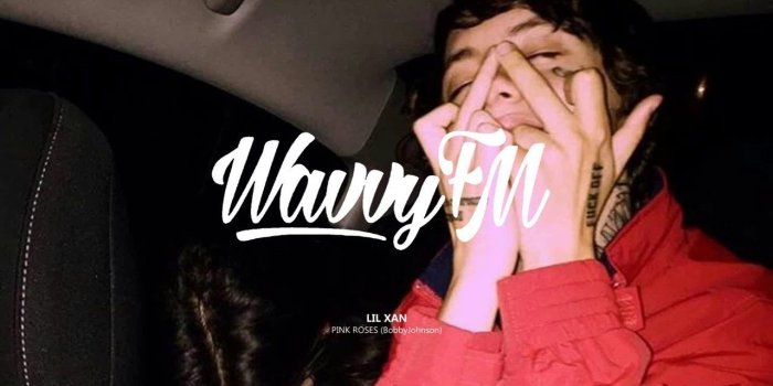 1280x720 Free download LIL XAN PINK ROSES BobbyJohnson [1280x720] for your