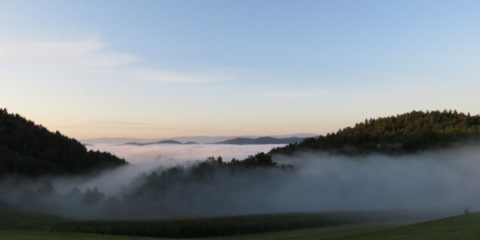 1332x850 Wallpaper fresh, MORNING, MIST images for desktop, section природа