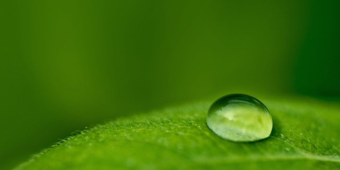 1920x1200 Fresh, morning, background, desktops, wallpapers, nature, wallpaper