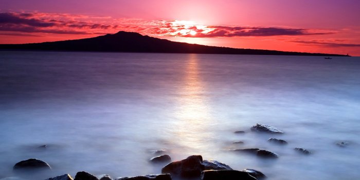 2406x1504 Pink, Morning, Cool Nature Wallpapers, Amazing Landscape, Plants