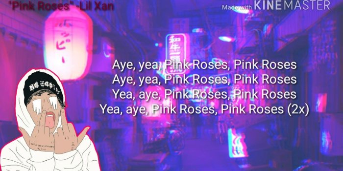 1280x720 Lil Xan Pink Roses – Home Exsplore