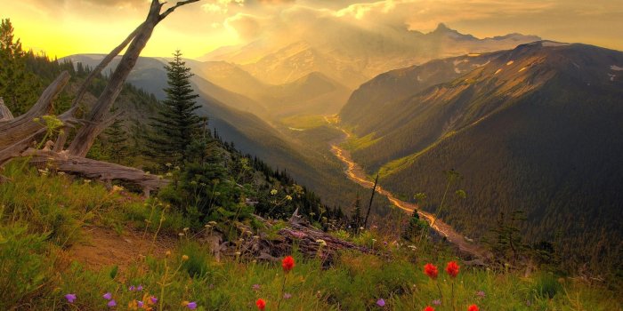 1805x1015 Morning, Cool Nature Wallpapers, Amazing Landscape, Organic, Plants