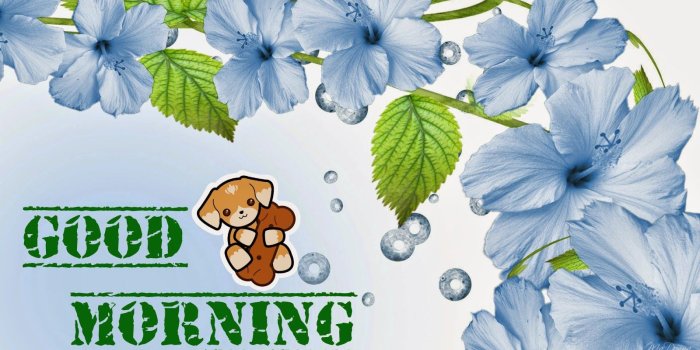 1600x900 Good Morning Flowers Pictures Images Free Flowers Healthy - Eid E