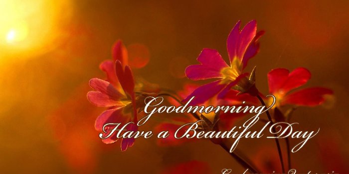 1366x768 30 Beautiful Good Morning Love Images with Flowers