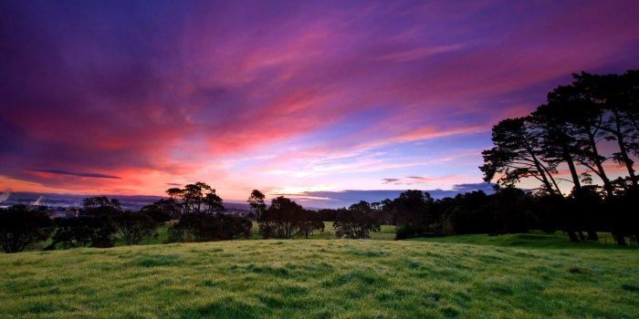 2406x1504 Beautiful, Pink, Morning, Cool Nature Wallpapers, Organic, Plants