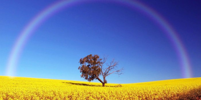 1920x1080 Nature Wallpaper Free hd wallpapers Page 0 | WallpaperLepi