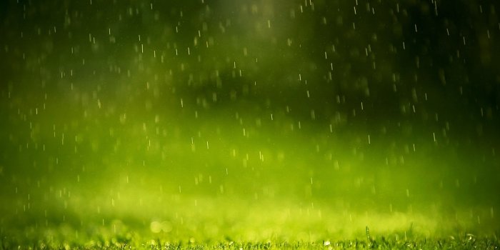 1920x1200 Daily Wallpaper: Fresh Grass | I Like To Waste My Time