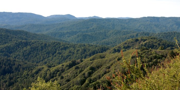 1920x1276 Santa Cruz Mountains Desktop Wallpaper