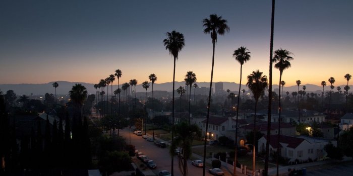 1600x900 Palm Tree Night View California Wallpaper - Wallpaper Stream