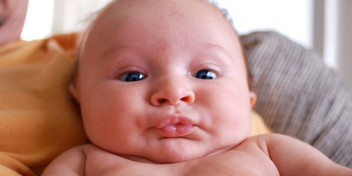 2000x1330 63+ Funny Baby Wallpapers on WallpaperPlay
