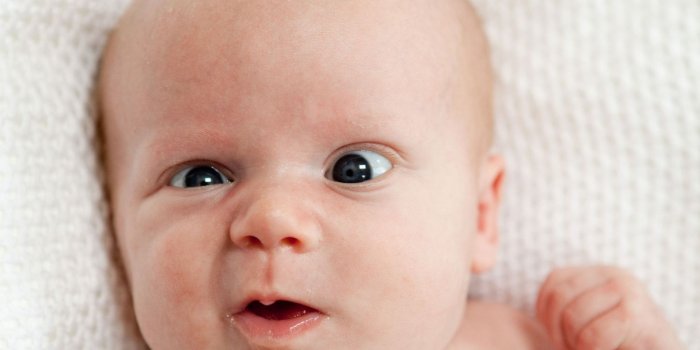 1600x900 Free download Funny Baby Wallpapers Download Hilarious and Funny