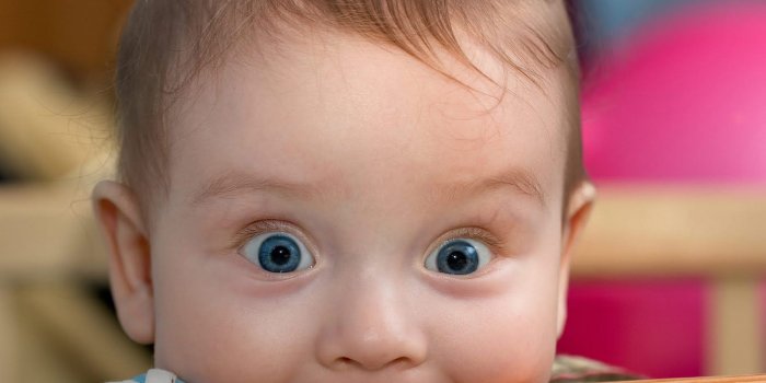 1600x1000 Funny Baby Wallpaper 7 Desktop Background - Funnypicture.org