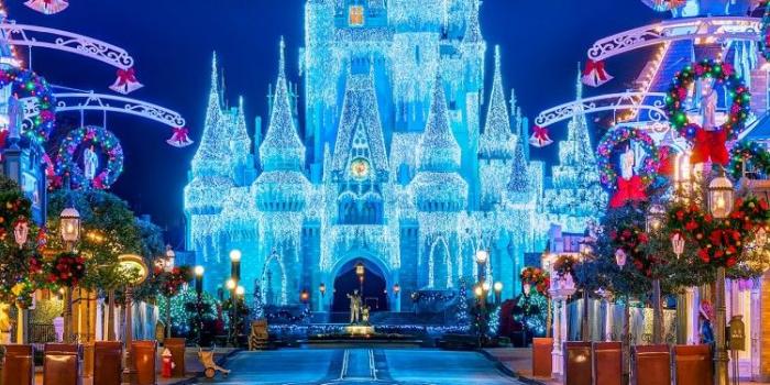 750x1334 Download Wallpaper Disney Castle Flower Castle Wreath - Iphone