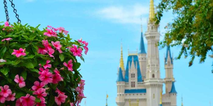 1024x1024 Iphone - Disney World, Cinderella Castle (#1341321) - HD Wallpaper