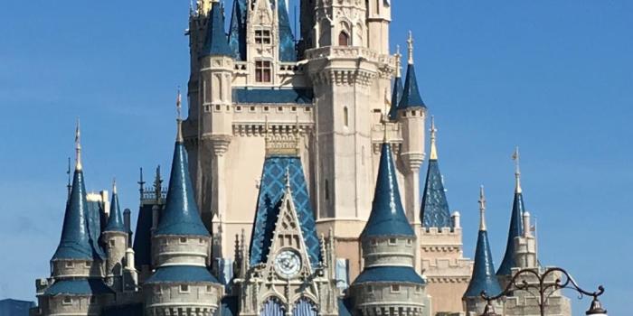 1080x1920 Disney Castle Iphone Wallpaper - Disney World, Cinderella Castle