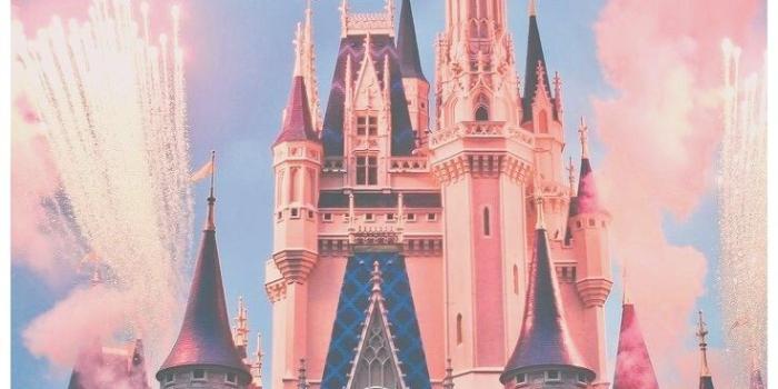 736x1104 Disney World Castle iPhone Wallpaper – My Blog