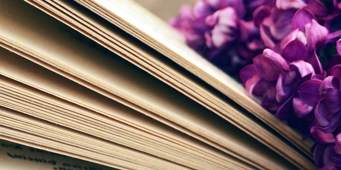 1125x2436 iPhonepapers.com | iPhone 8 wallpaper | ni24-book-read-time-flower