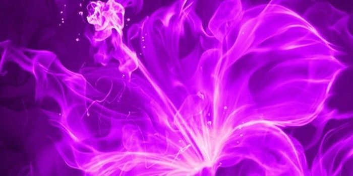 1080x1920 3D Purple Flower iPhone Wallpaper | 2019 3D iPhone Wallpaper