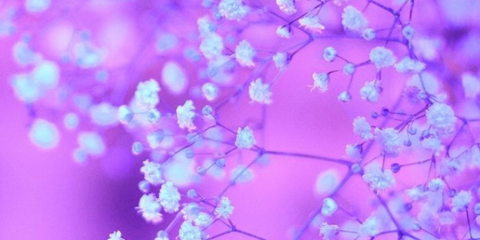 736x1377 Purple Wallpaper - (56+ images)