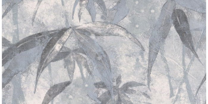 1769x1368 Wallpaper Border - Tropical Plants Distressed Grey Wall Border Retro  Design, Prepasted Roll 15 ft. x 7 in.