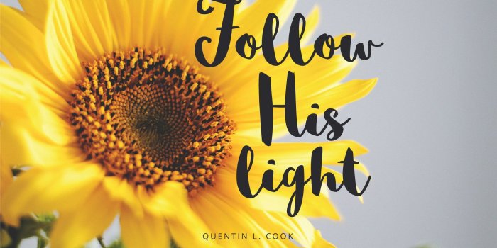 2048x1153 Sunflower Hello Sunshine Wallpaper - Year of Clean Water