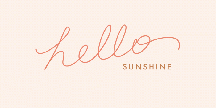 2560x1600 Free photo: Hello sunshine - Sunny, Yellow, Sunflower - Free
