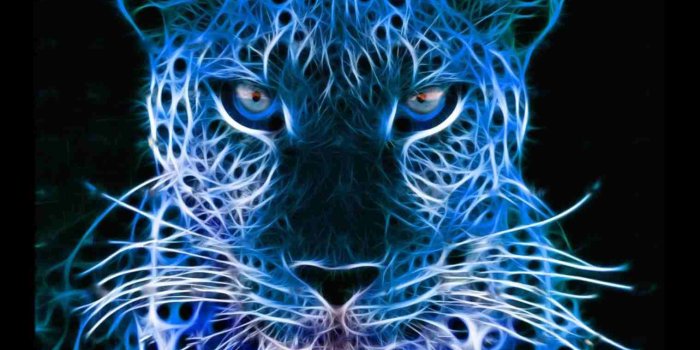 1517x853 Neon Wolf Wallpaper Group (64+), HD Wallpapers