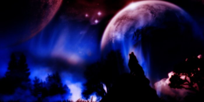 2560x1600 Neon Wolf Wallpaper - (64+ pictures)