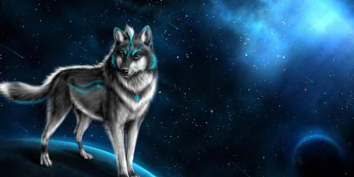 1280x800 High Resolution, DSC100137490.jpg, Cool Pictures Of Wolves Wallpapers