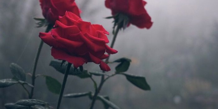 750x1334 ○there's a hole in my soul i can't fill it i can't fill it○ | My