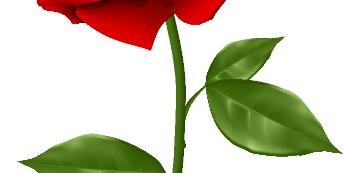 3729x6000 Ludmila Kolosovskaya on Flowers | Red rose png, Purple roses